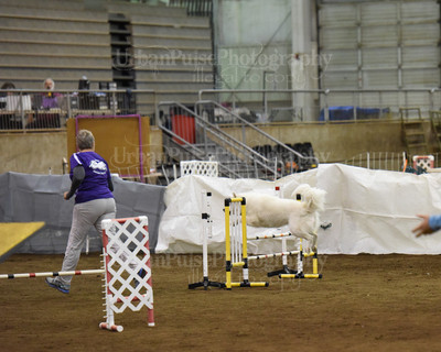 SCA2016_AG MON FAST NOVICE-0100