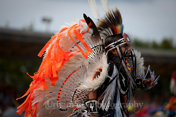 Wacipi_2011-2412