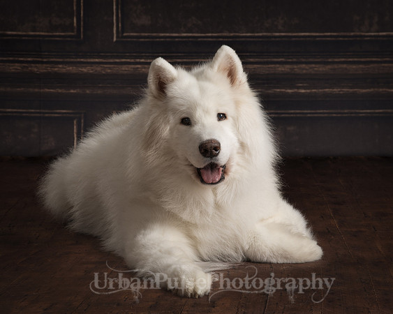 _DSC3606-Edit-Edit