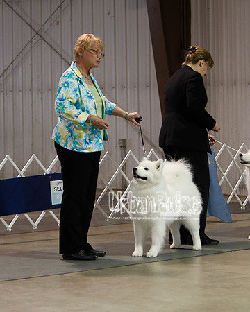 Fargo_2011-3703