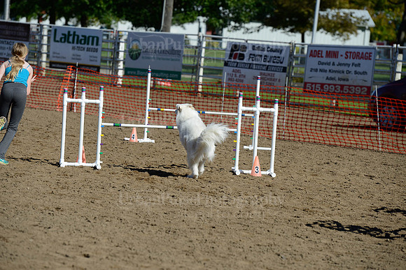 AGILITY-1924