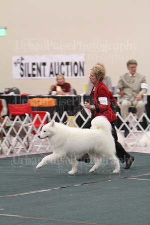 SWPS VET D10-12-9346