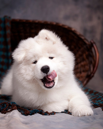 GreenBoy_10wks_16x20_0638