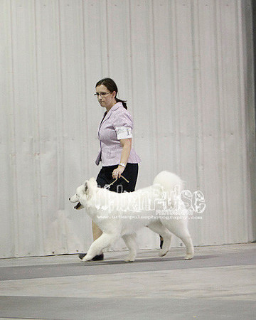Fargo_2011-4390