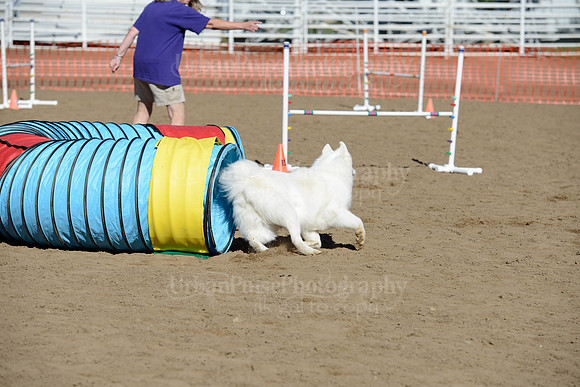 AGILITY-1912