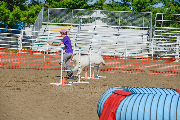 AGILITY-2187