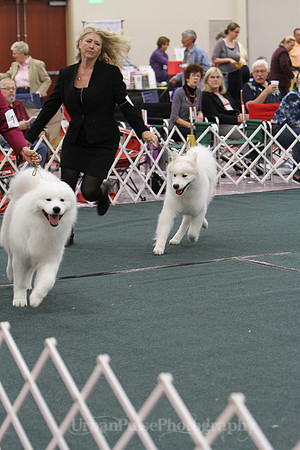 D OPEN-8503 2014 SCA National - 3rd PL