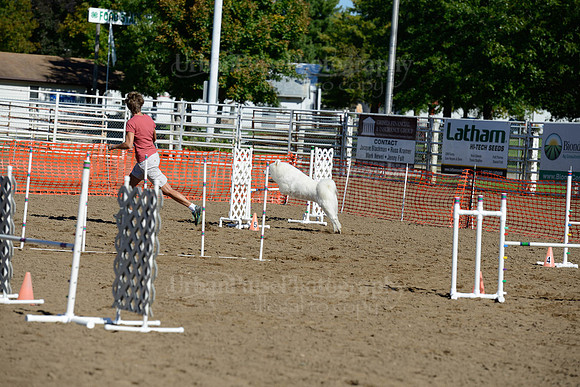 AGILITY-1962