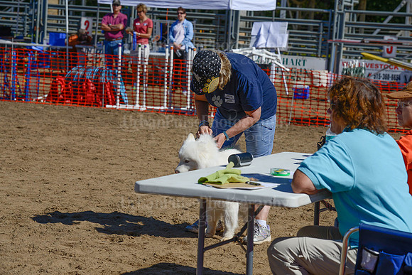AGILITY-2271