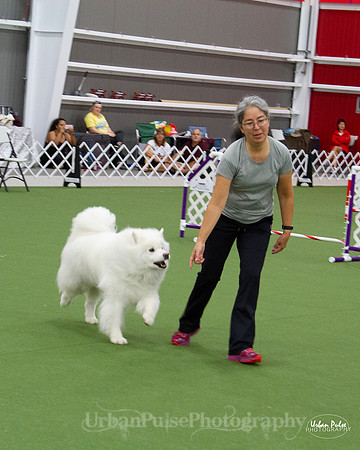 AGILITY_9449