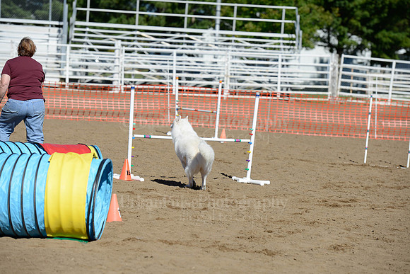 AGILITY-2008
