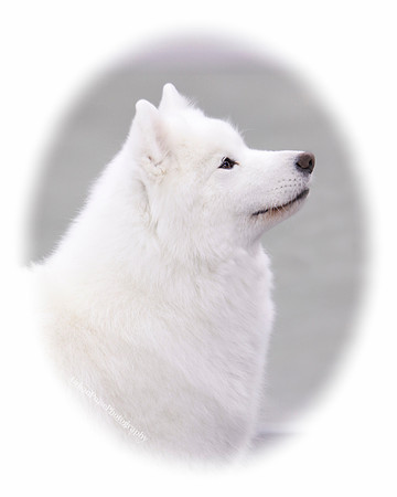 _MG_0591