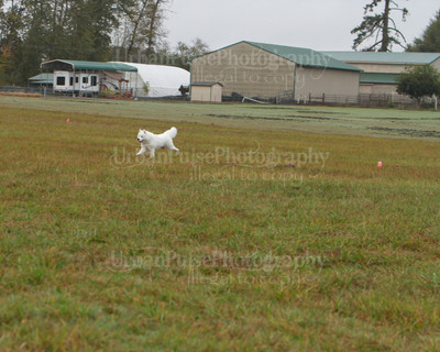 SCA2016_LURE COURSING-7791