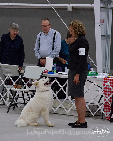 HEX SCA 2018_9531