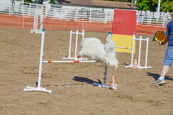 AGILITY-2386