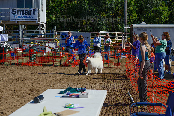 AGILITY-2203