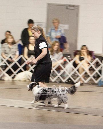 Fargo_2011-3998
