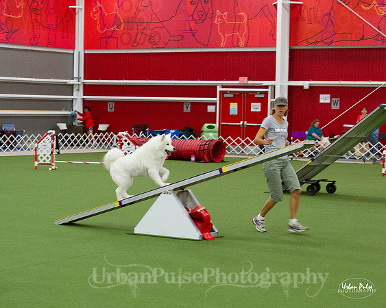 AGILITY_9454