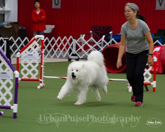 AGILITY_9438