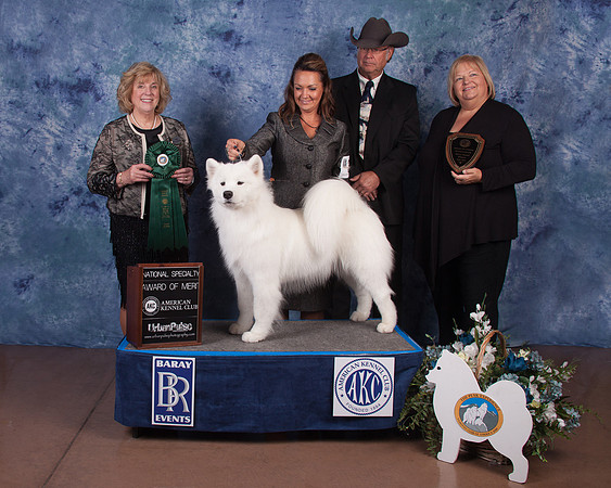 2016 BOB AWARD-9755_60