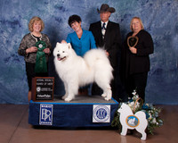 2016 BOB AWARD-9752_50