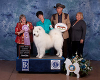 2016 SWEEPS AWARD-8707_40