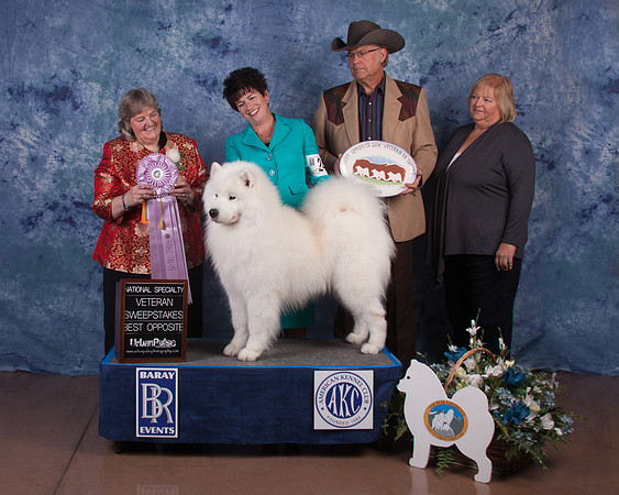2016 SWEEPS AWARD-8707_40