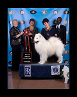 2016 TOP S AWARD-8575_30