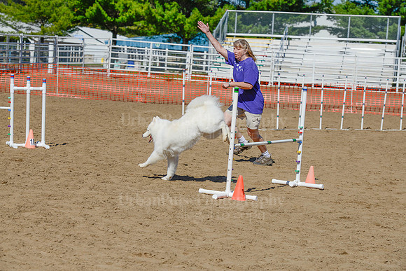 AGILITY-2308