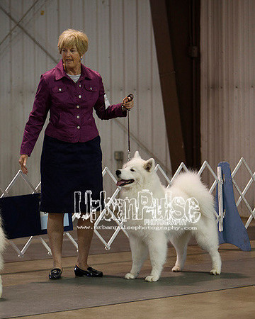 Fargo_2011-3601