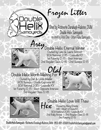 FROZEN LITTER AD - PAGE 1
