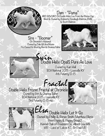 FROZEN LITTER -PAGE 2
