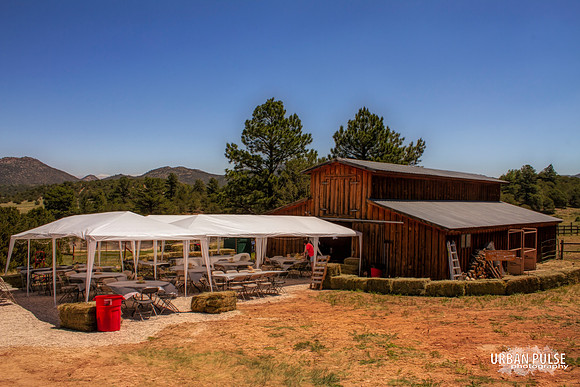SHANE & KIMBERLY WEDDING_1159
