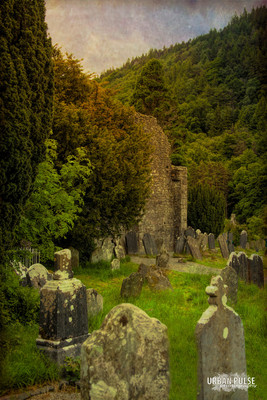 Ireland_3462