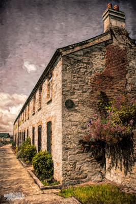 Ireland_3731