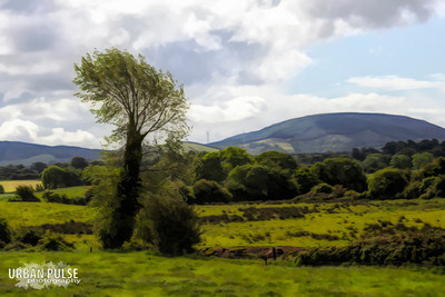 Ireland_3685