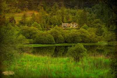 Ireland_3539