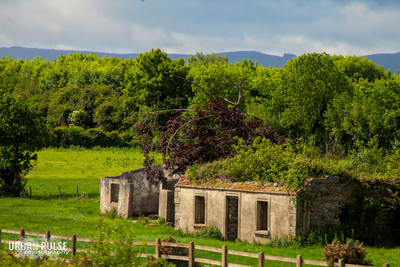 Ireland_3697