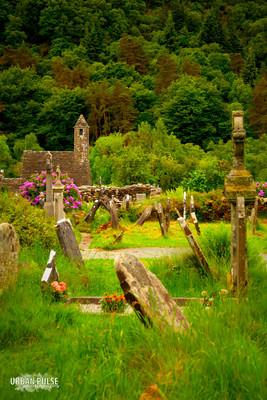 Ireland_3460