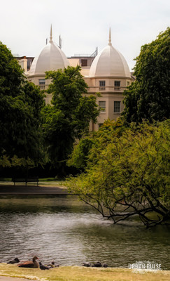 LONDON-2362
