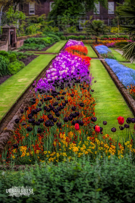 LONDON_1188