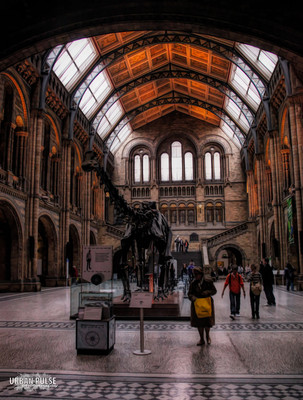 LONDON-2463