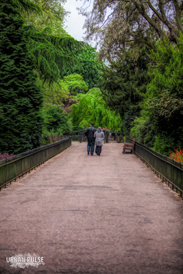 LONDON_1126