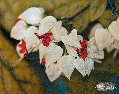 LONDON-2001
