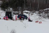 MUSHFORACURE2013-1382