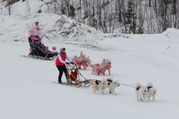 MUSHFORACURE2013-1392