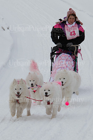 MUSHFORACURE2013-1373