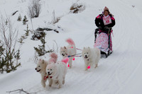 MUSHFORACURE2013-1378