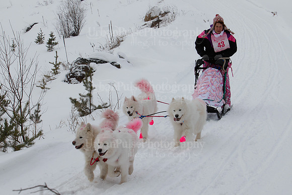 MUSHFORACURE2013-1378