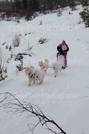 MUSHFORACURE2013-1377